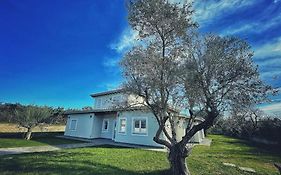 Guest House Montestallone